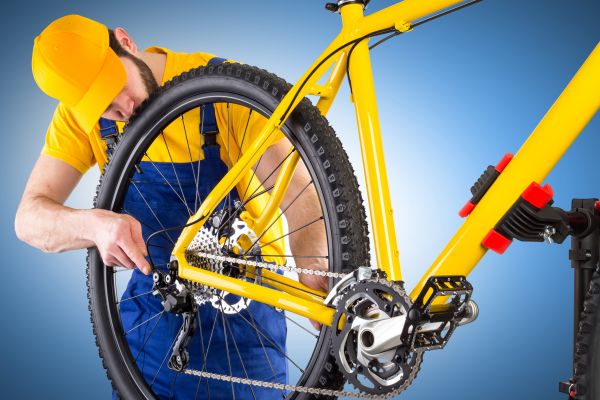 Bike Assembly in Gaithersburg